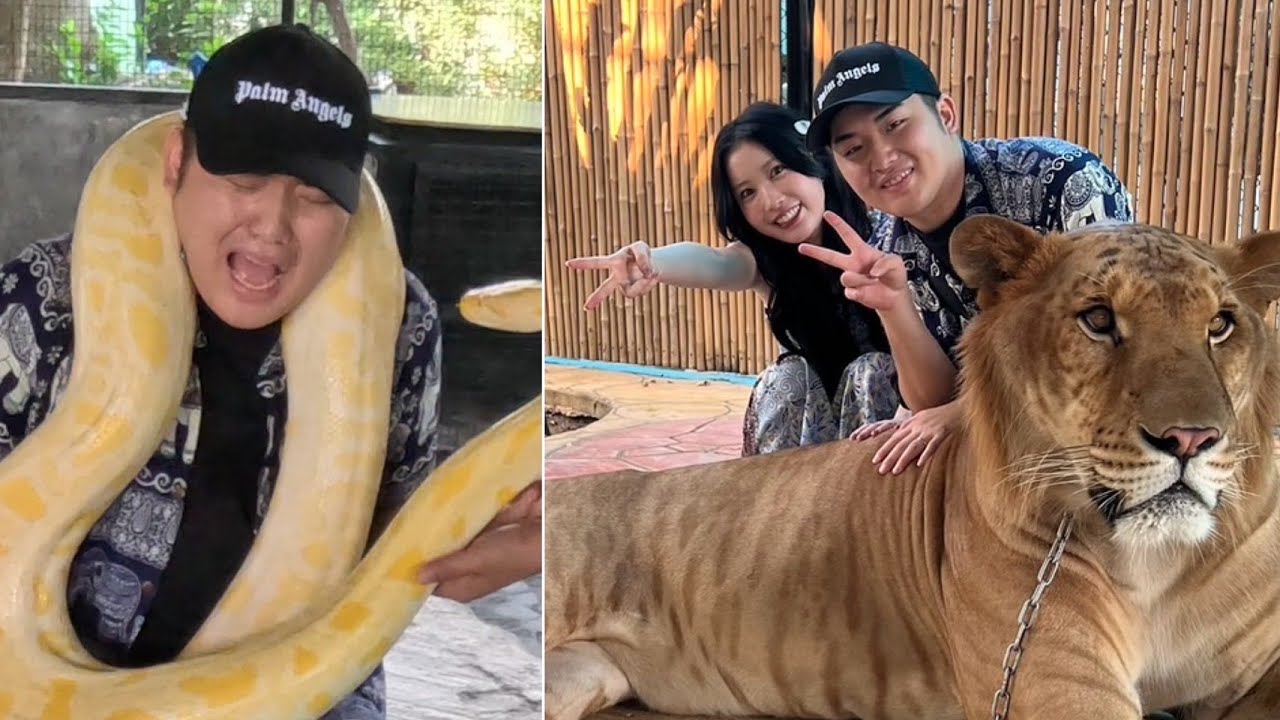 何でもありのタイの動物園がヤバ過ぎたwww【タイ編#4】