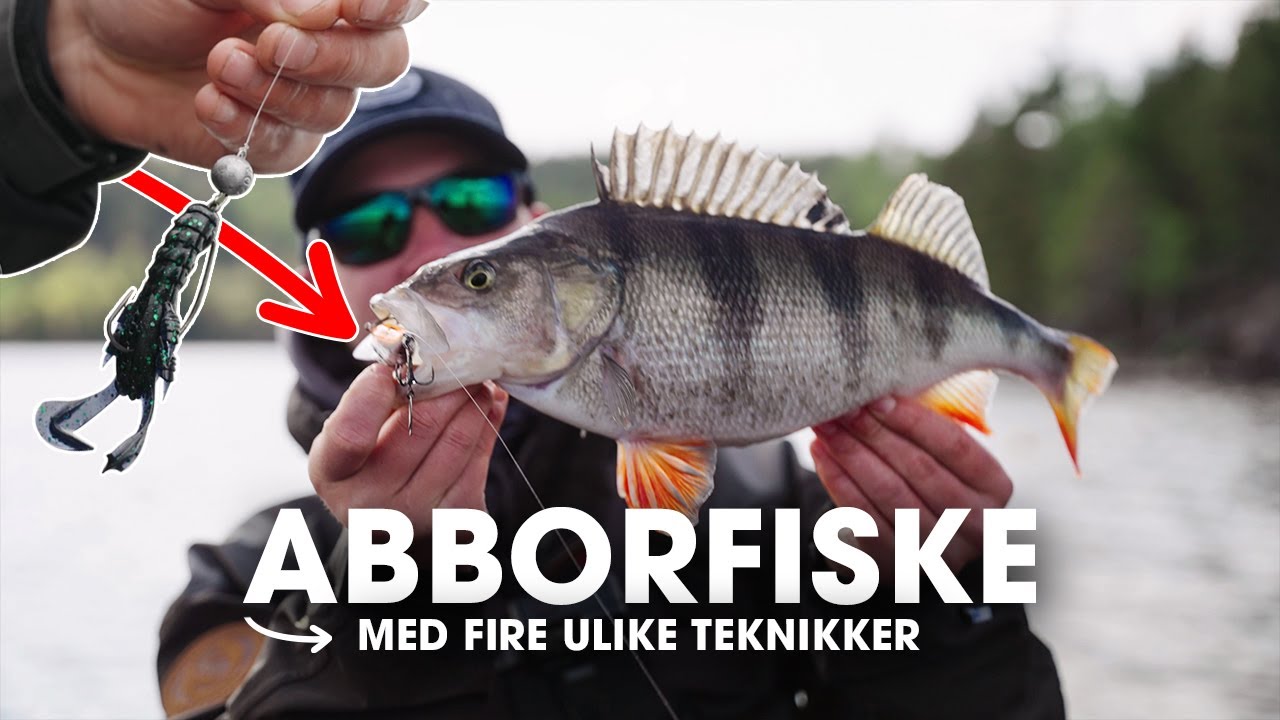 Abborfiske med VMC rigger - Hva fungerer best?