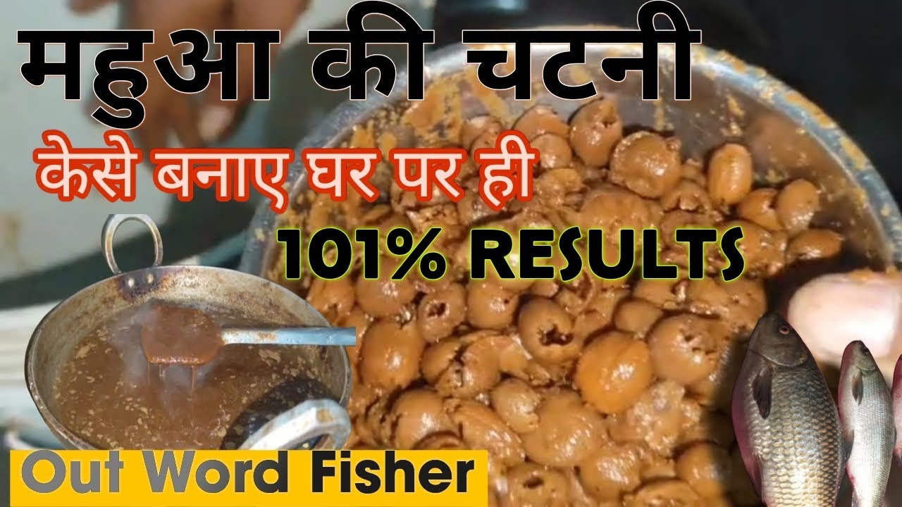Mahua K Chatni Special Formula 101% result All #Carp #Fish Technique #viral #video #gwalior #fishing