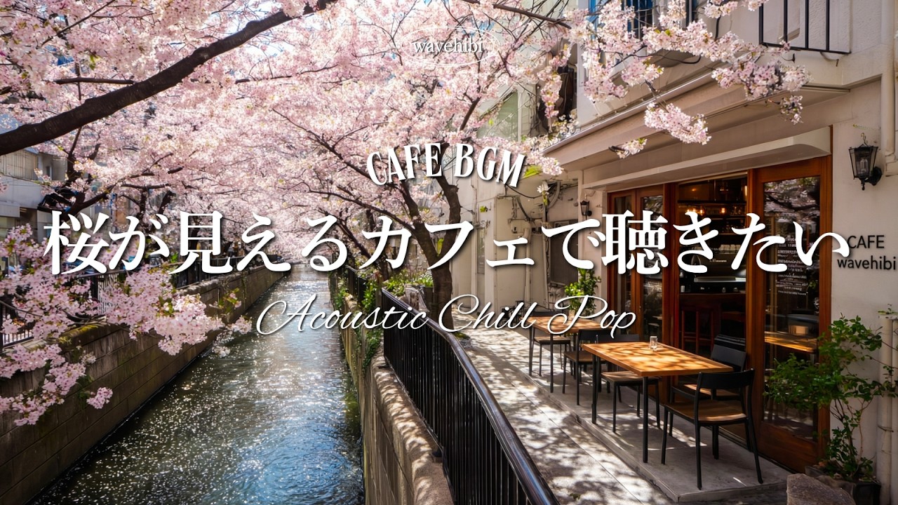 【春カフェ☕作業用BGM】桜とともに🌸春を感じる、癒しの洋楽プレイリスト🎧4時間｜Chill & Relax Playlist
