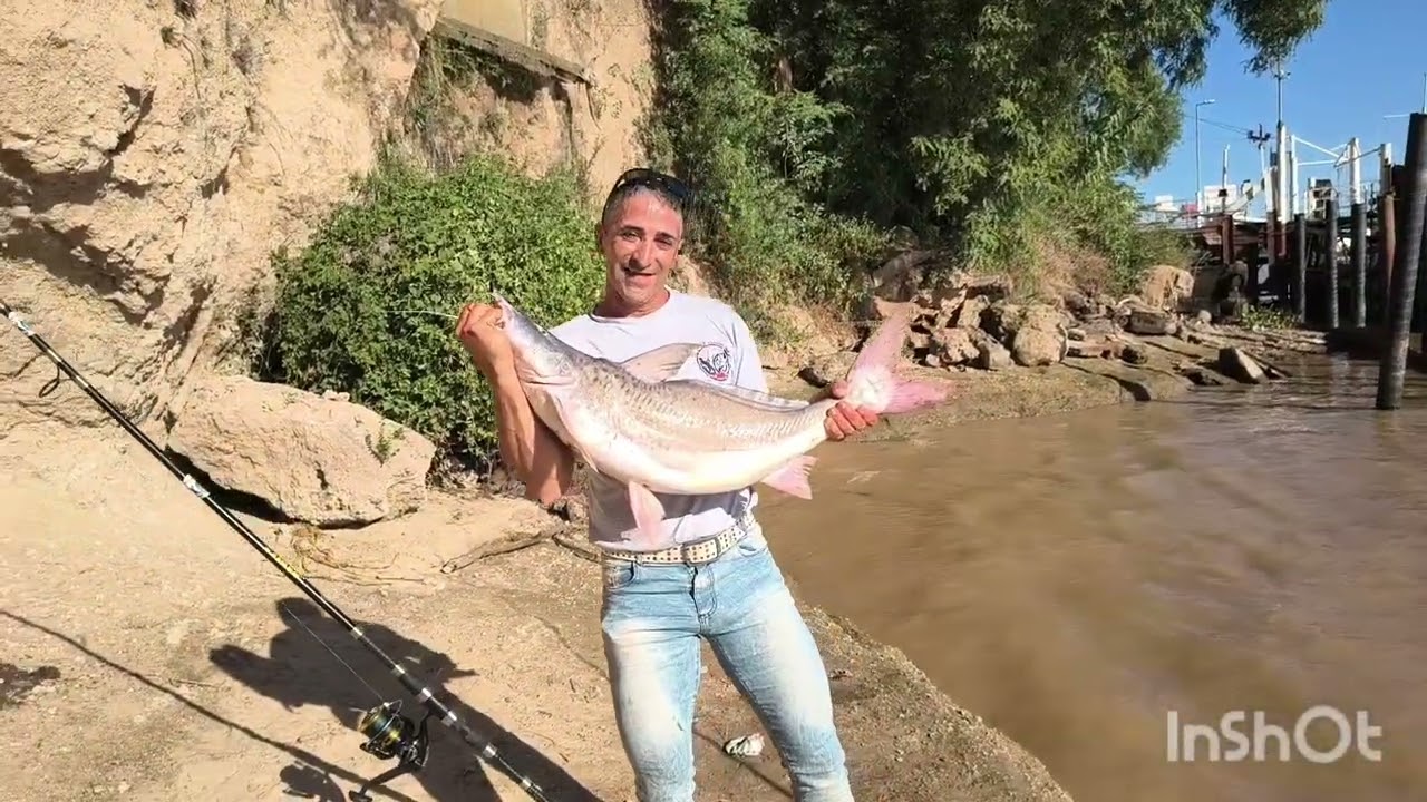 💞espetacular  pesca metimos en la colacho😱 #salieron los grandes 🎣🐟#paty gigante #moncholos gigante 