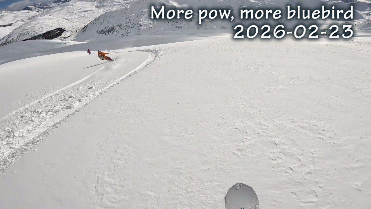 More pow and bluebird