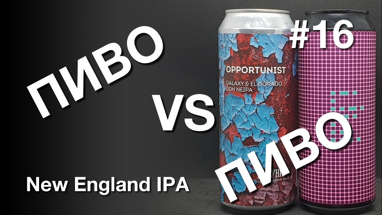 Пиво VS Пиво: Бакунин Opportunist vs. STAMM ReFresh Galaxy & Nelson Sauvin