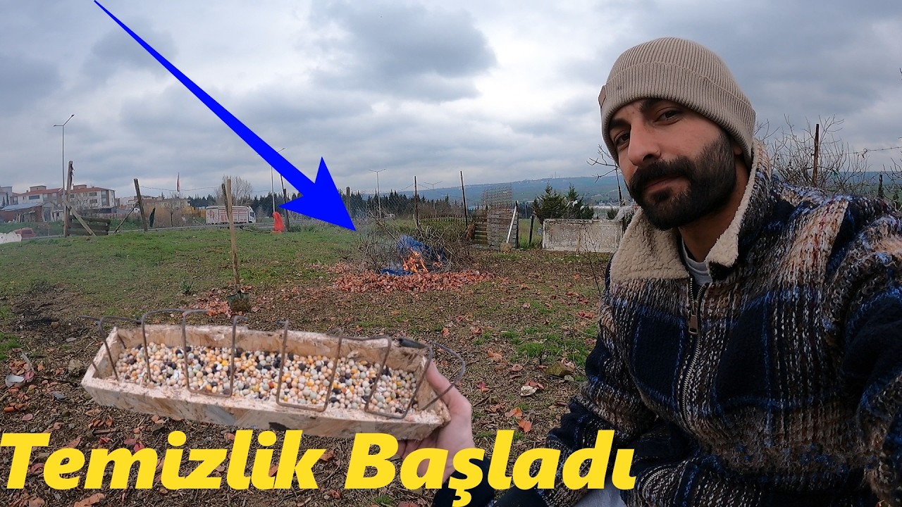 TARLAYI TEMİZLEMEYE BAŞLADIM-GÜVERCİNLERE YEMLİK YAPTIM-0 DAN HAYVANCILIK SERİSİ BÖLÜM 14#güvercin