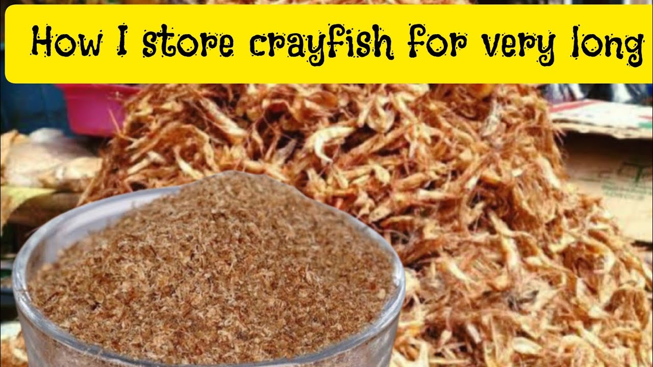 Powdered crayfish | How to grind and preserve crayfish for very long