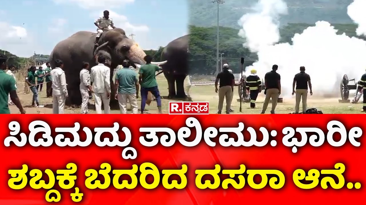 Mysore Dasara 2024: ಸಿಡಿಮದ್ದು ತಾಲೀಮು: ಭಾರೀ ಶಬ್ದಕ್ಕೆ ಬೆದರಿದ ದಸರಾ ಆನೆ..