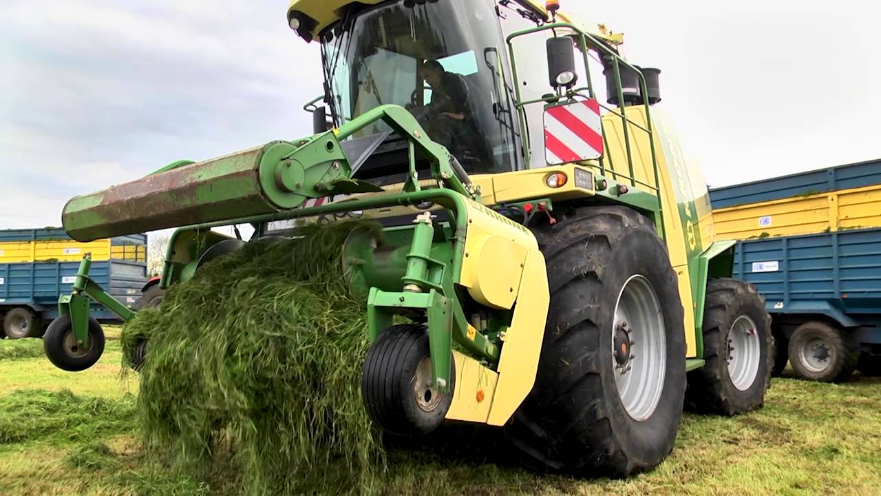 GRASSMEN - Westbound & Down, Killen Bros