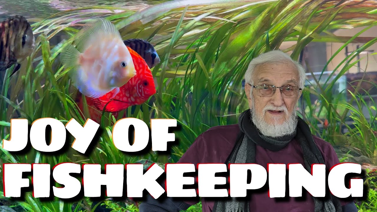 Discovering The Joy of Fishkeeping