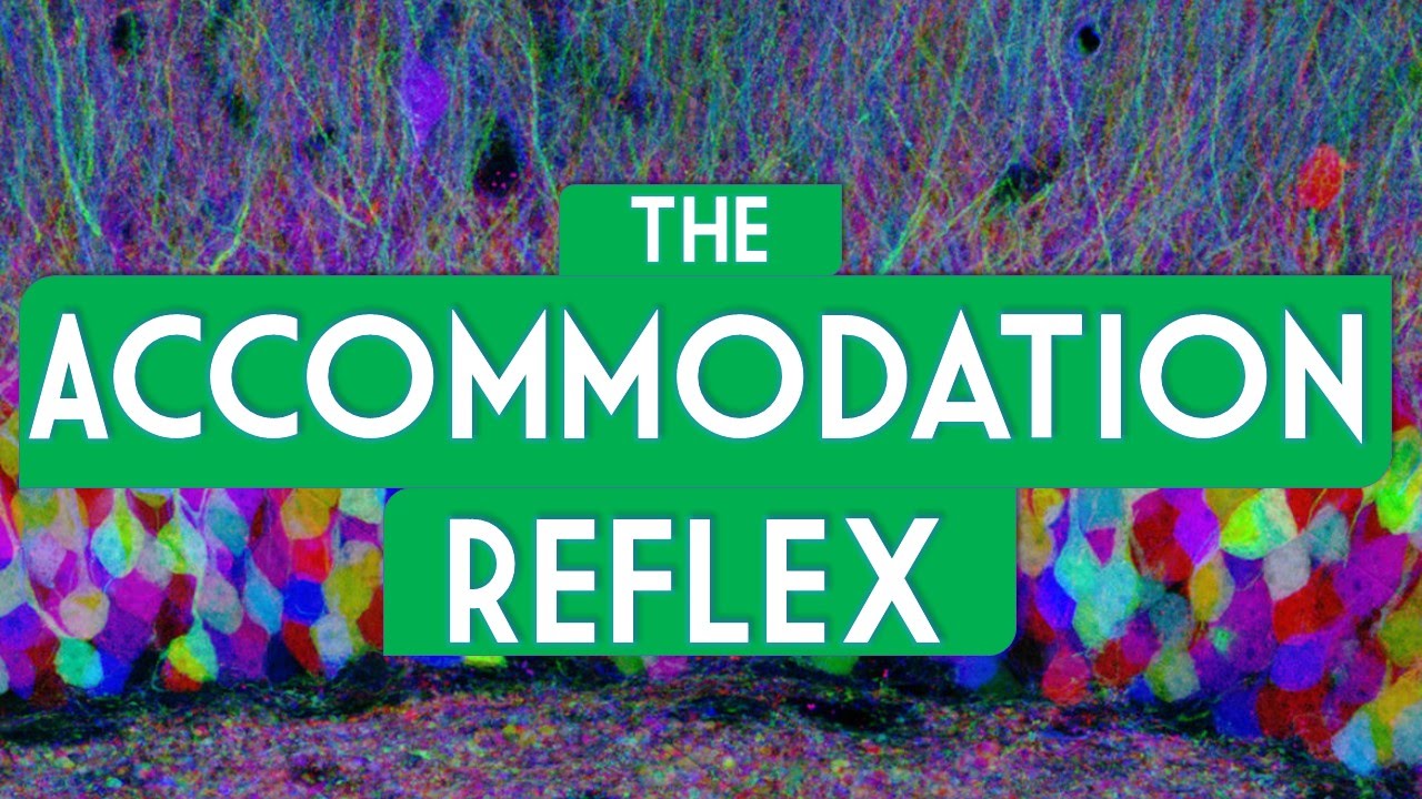 Accommodation reflex