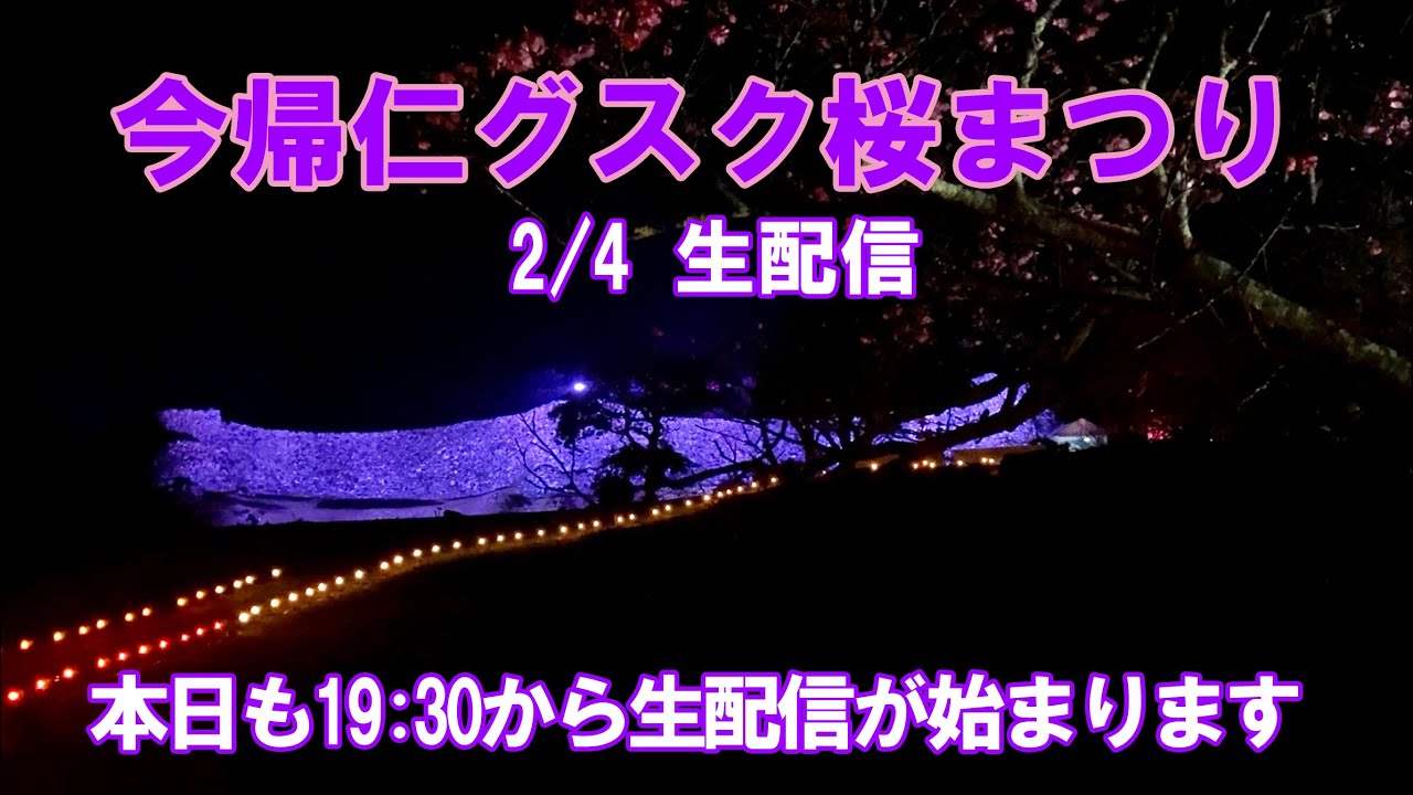 【2/4】第15回今帰仁グスク 桜まつり 夜桜ライトアップ オンラインイベント