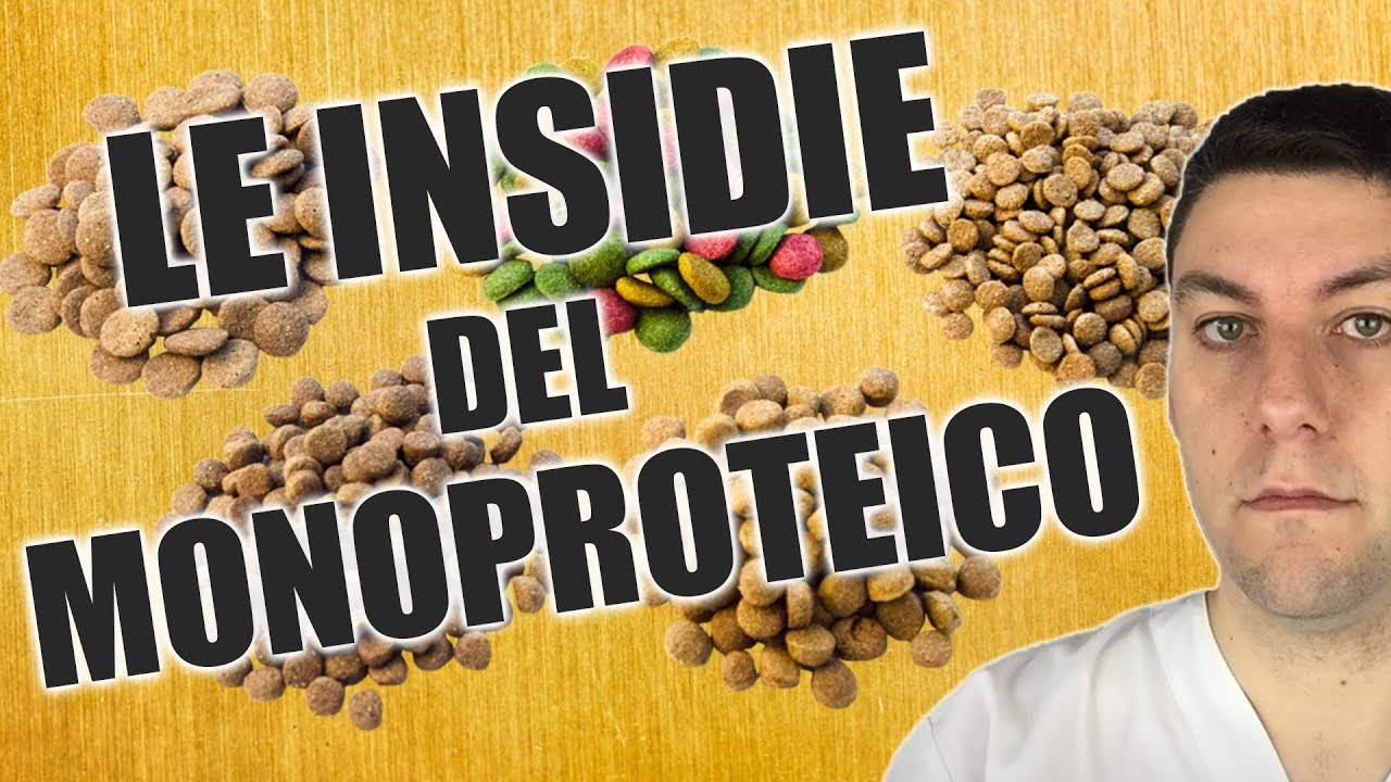 L'alimento MONOPROTEICO è davvero utile per le allergie del cane e del gatto?