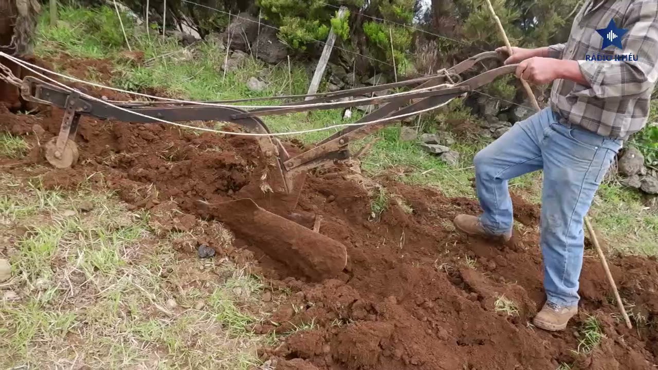 Há vida no campo: Lavrar pelo Topo