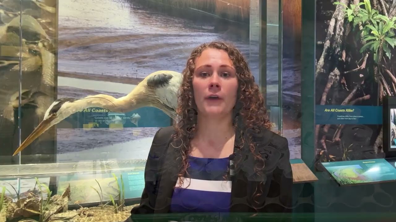 (AD) Monitoring the Charismatic Microfauna: Dr. Jessica Zehnpfennig, Postdoctoral Fellow
