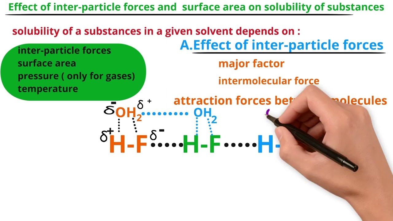 Effect of inter particle forces and surface area on solubility