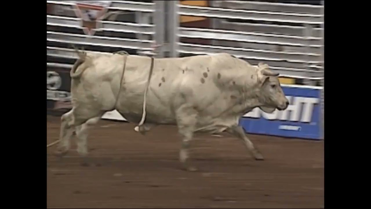 Jason Bennett vs Superstitious - 00 PBR Guthrie (86.5 pts)