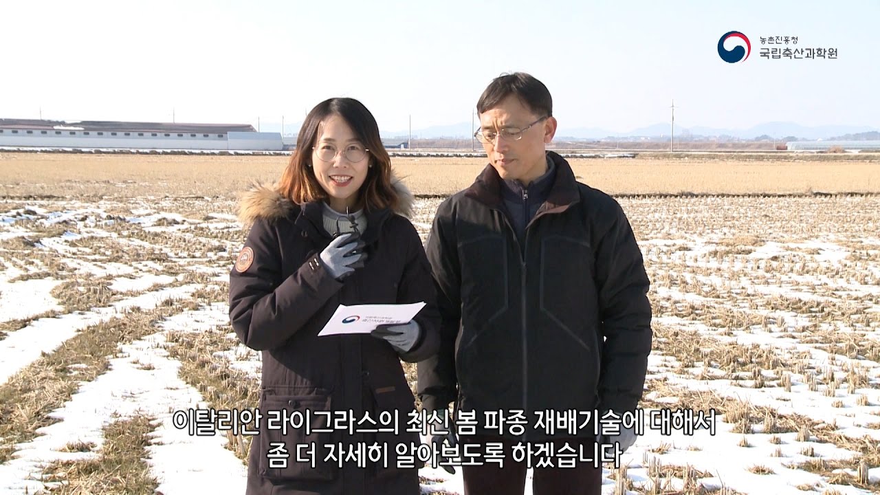풀사료 이탈리안 라이그라스 봄에 파종하는 방법 2화