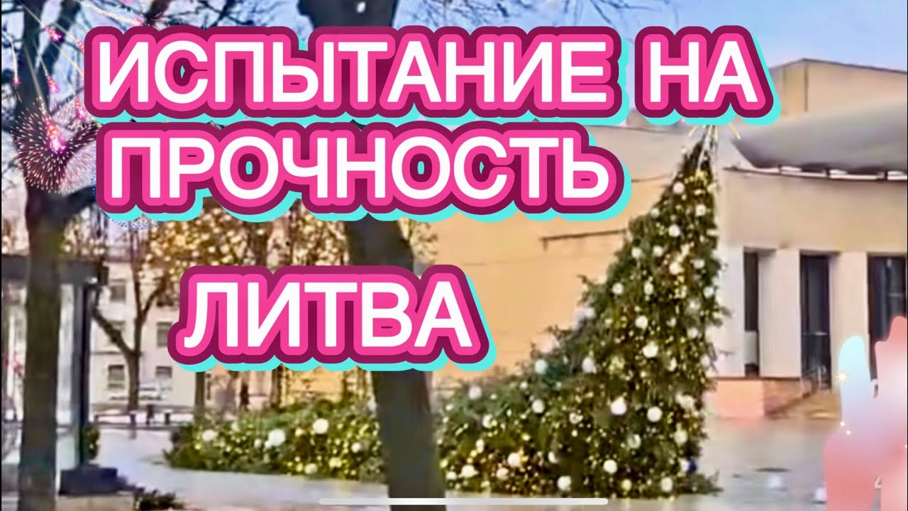 СИЛЬНЫЙ ВЕТЕР ПРОВЕРЯЕТ ПРОЧНОСТЬ РОЖДЕСТВЕНСКИХ ЁЛОК | САМЫЕ КРАСИВЫЕ ЁЛКИ | ЛИТВА | АЛИТУС |