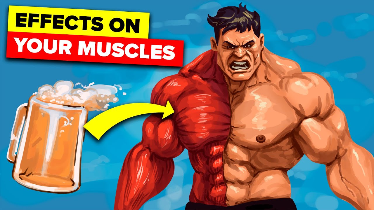 Study Shows Effects of Alcohol on Building Muscle | The Workout Show