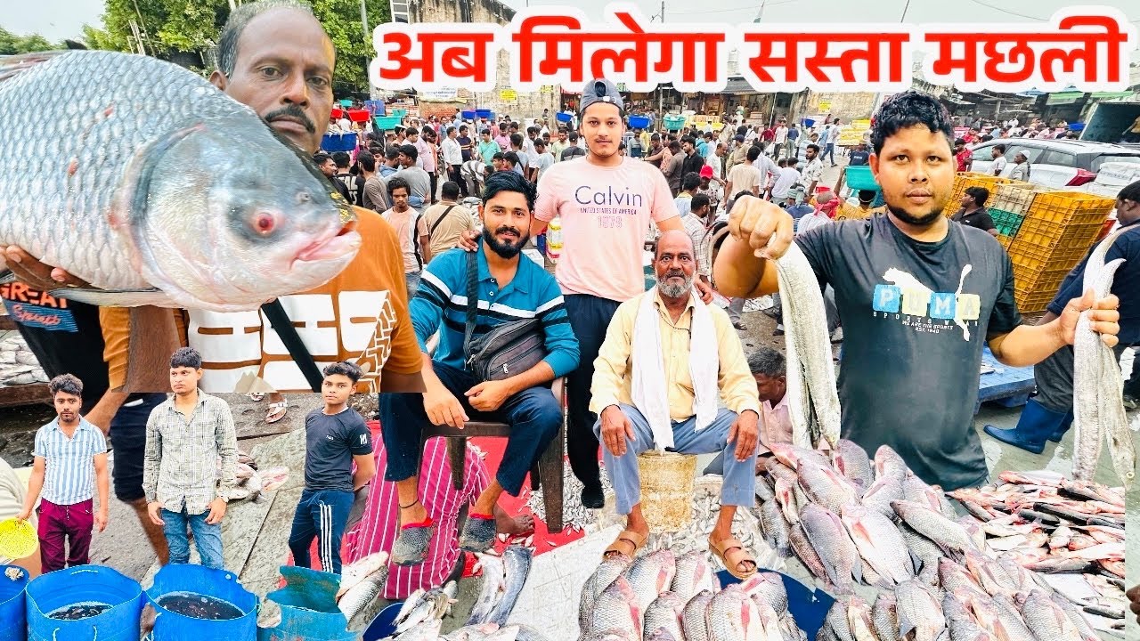 Wholesale Fish Market In Delhi| Ghazipur Fish Market |गाजीपुर मछली मंडी |Indian Fish Market Delhi |
