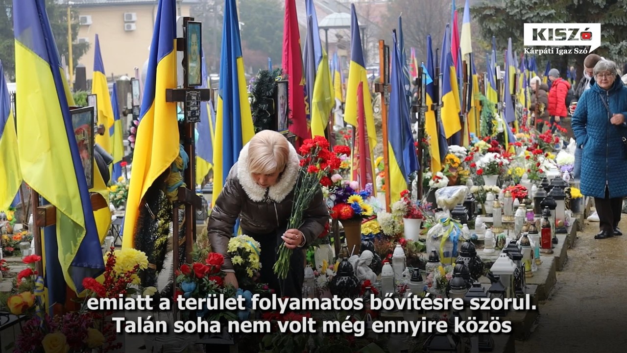 A háború emberi arca
