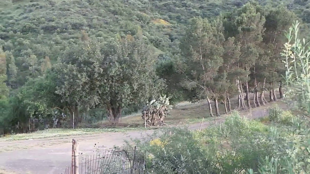 قرية  بورباش