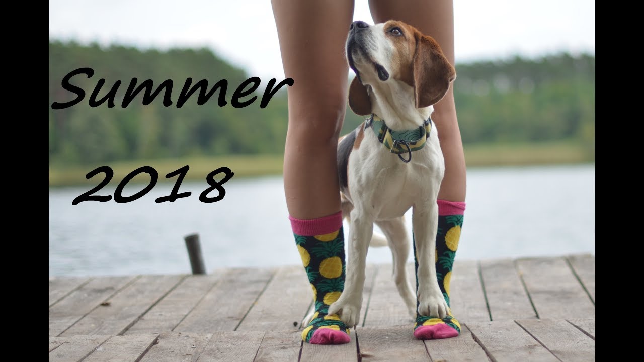 Summer 2018