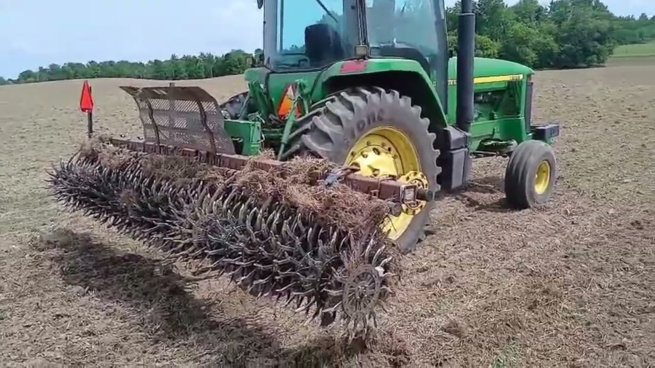 Rotary hoeing organic corn