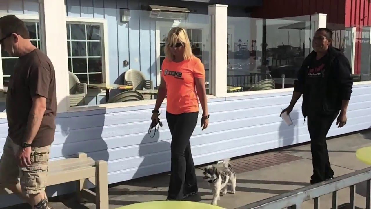 IQ K9 TRAINING | Oceanside Dog Training | Lianne Shinton, Certified Dog Trainer