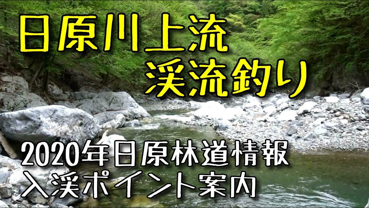 奥多摩　日原川上流　渓流釣り　入渓ポイント　林道案内