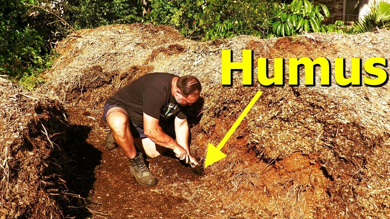 What Happens to Woodchip if You Leave it in a BIG Pile for Months?