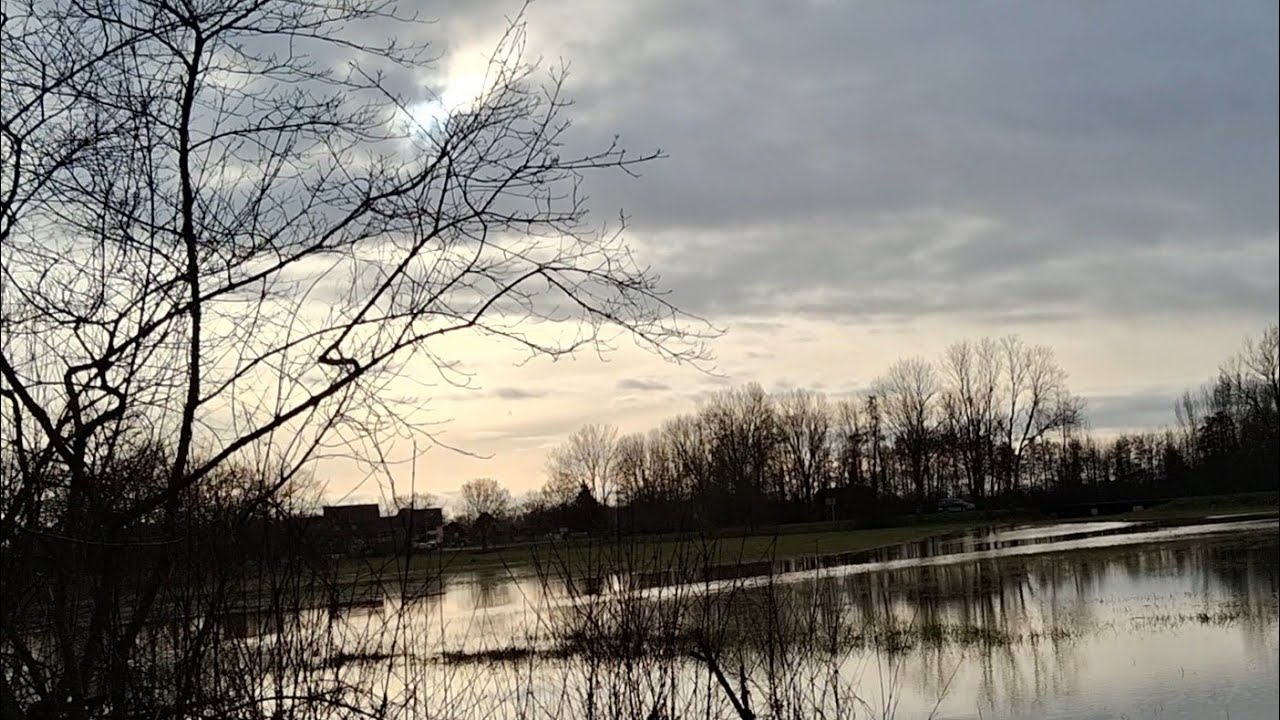 🌫💧🪾🌥 5) Floodwaters in Alsace 🇨🇵 / 5) Hohe Wasser der ILL (Elsaß 🇨🇵)/ 5) L'ILL en crue (Bas-Rhin 🇨🇵)