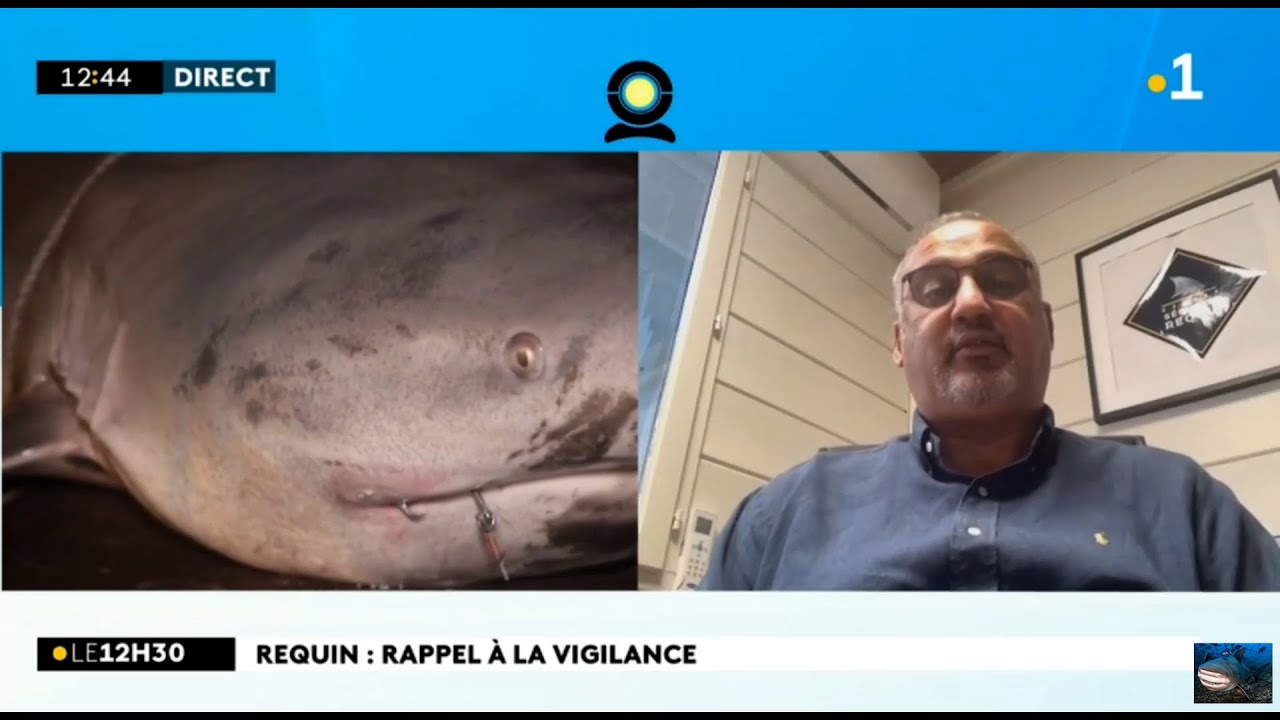 🇷🇪🦈Le Centre S&eacute;curit&eacute; Requin appelle &agrave; la vigilance pendant les vacances scolaires - 5/05/2021