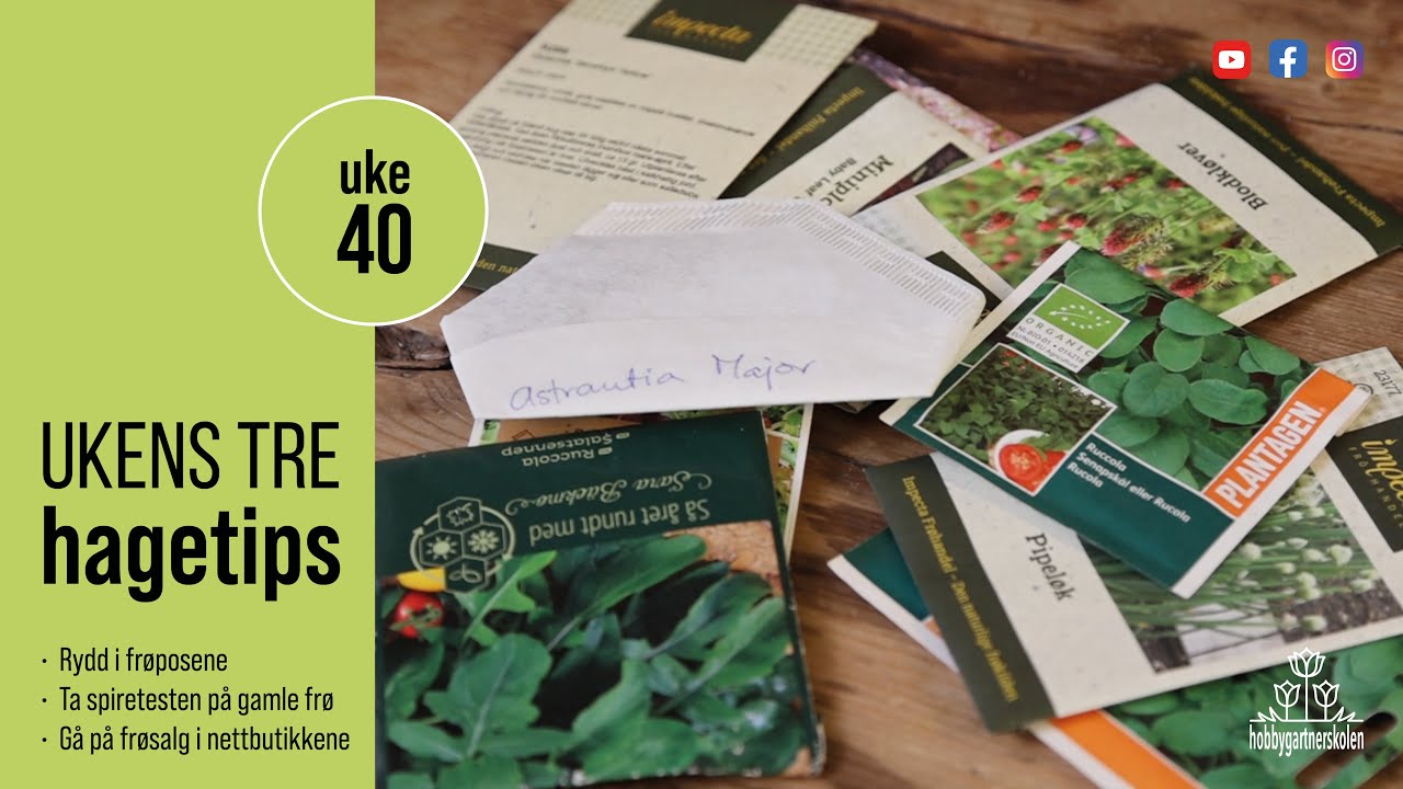 Hvordan oppbevare frø gjennom vinteren