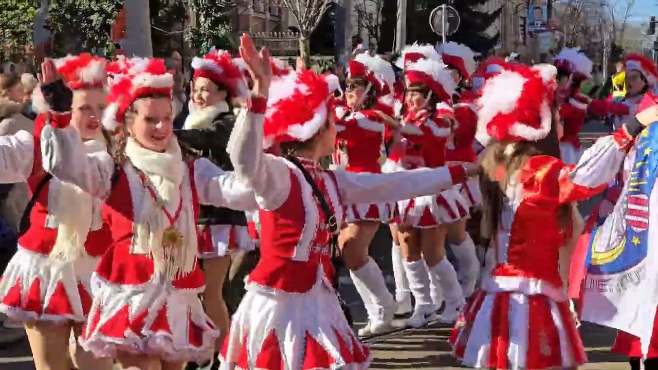 Rosenmontagsumzug Halle (Saale) 2025