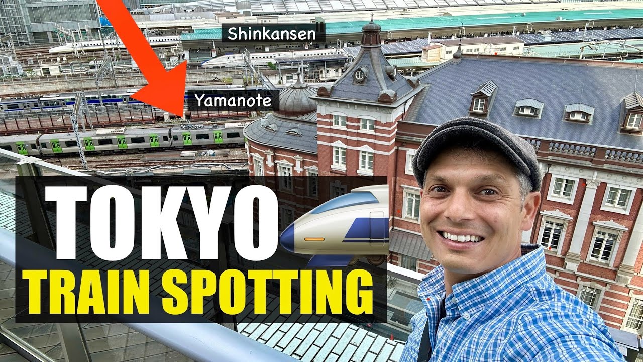 Tokyo Station Train Viewing Terrace from Above