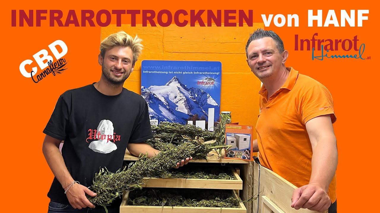 Cannafleur Infrarot Hanftrocknung, Kr&auml;utercube, #cannabisheals #cannabiseducation #cannabistrocknen