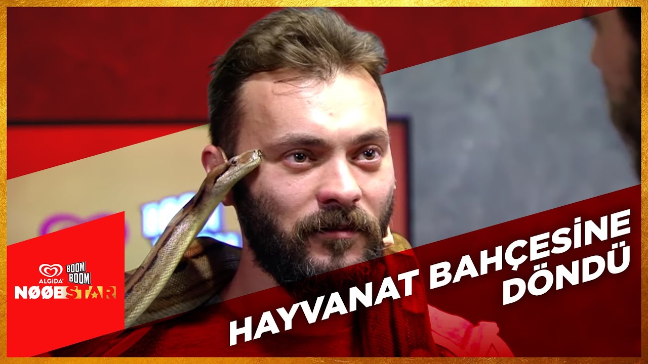 Stüdyoda Yılan Var | Noobstar 1. Sezon 17. Bölüm Özeti