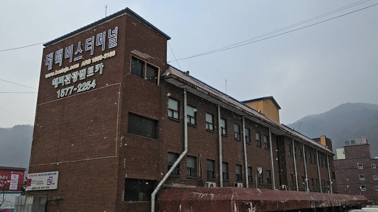 눈 내리는 태백🚍버스터미널🚍 (오전9시 태백 기상상황)