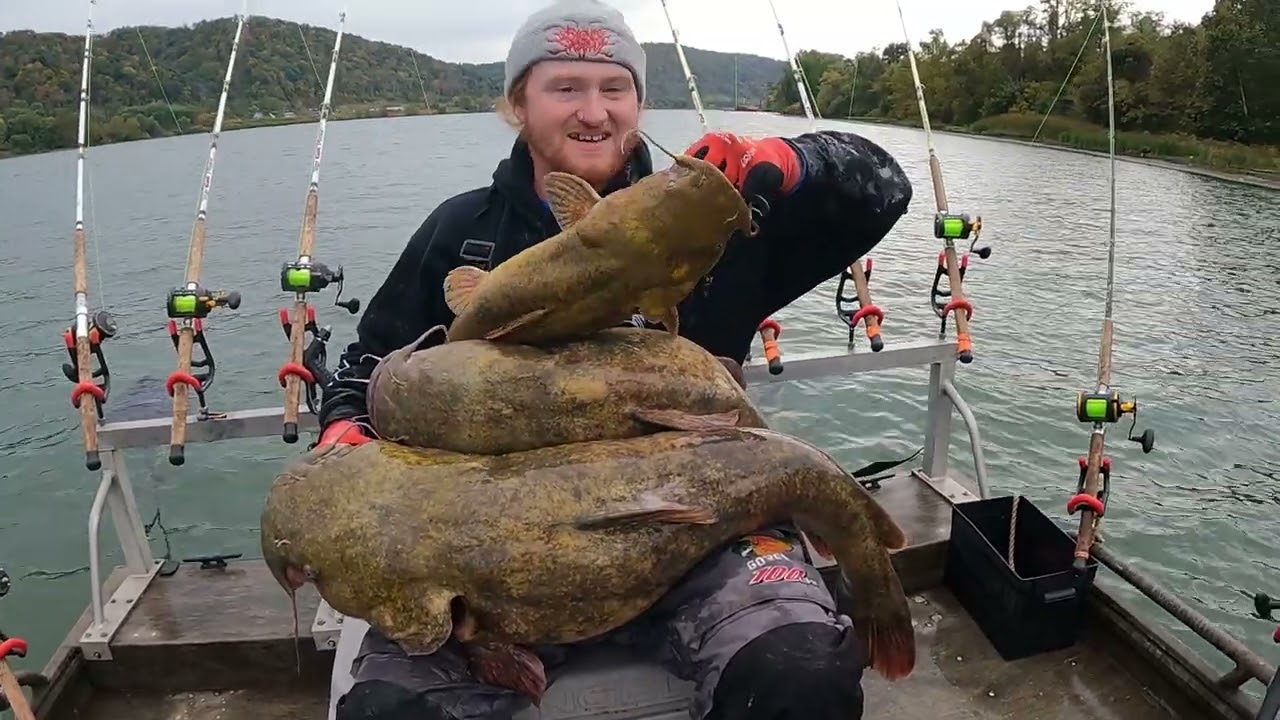Hammerin' Flatheads with Cut WALLEYE