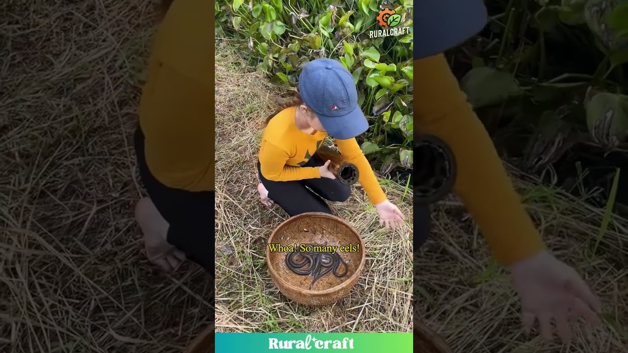 Eel Trap Success! Bamboo Tube for the Win! 