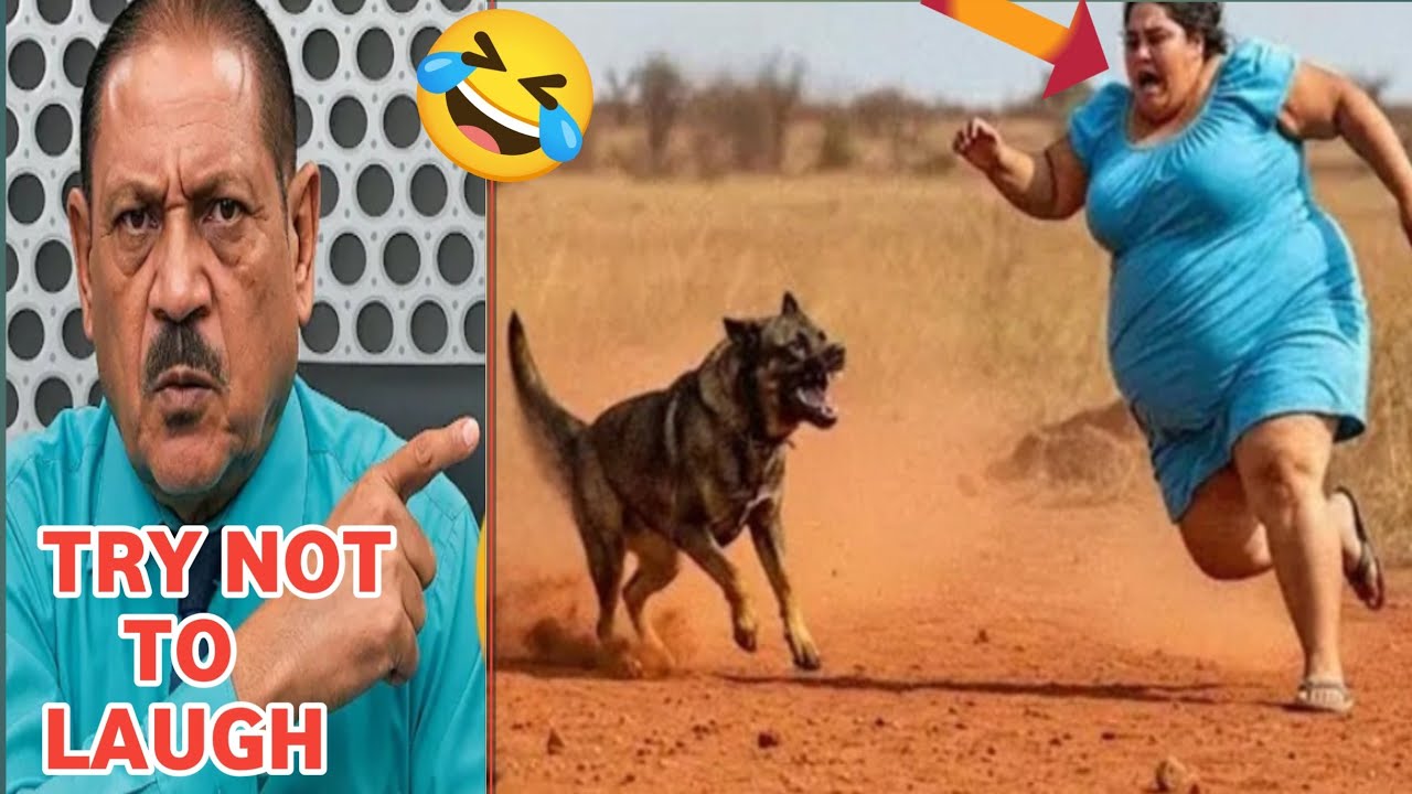 Испытание «Попробуй не засмеяться»🤣 | Самое безумно смешное видео в мире, эпизод 74