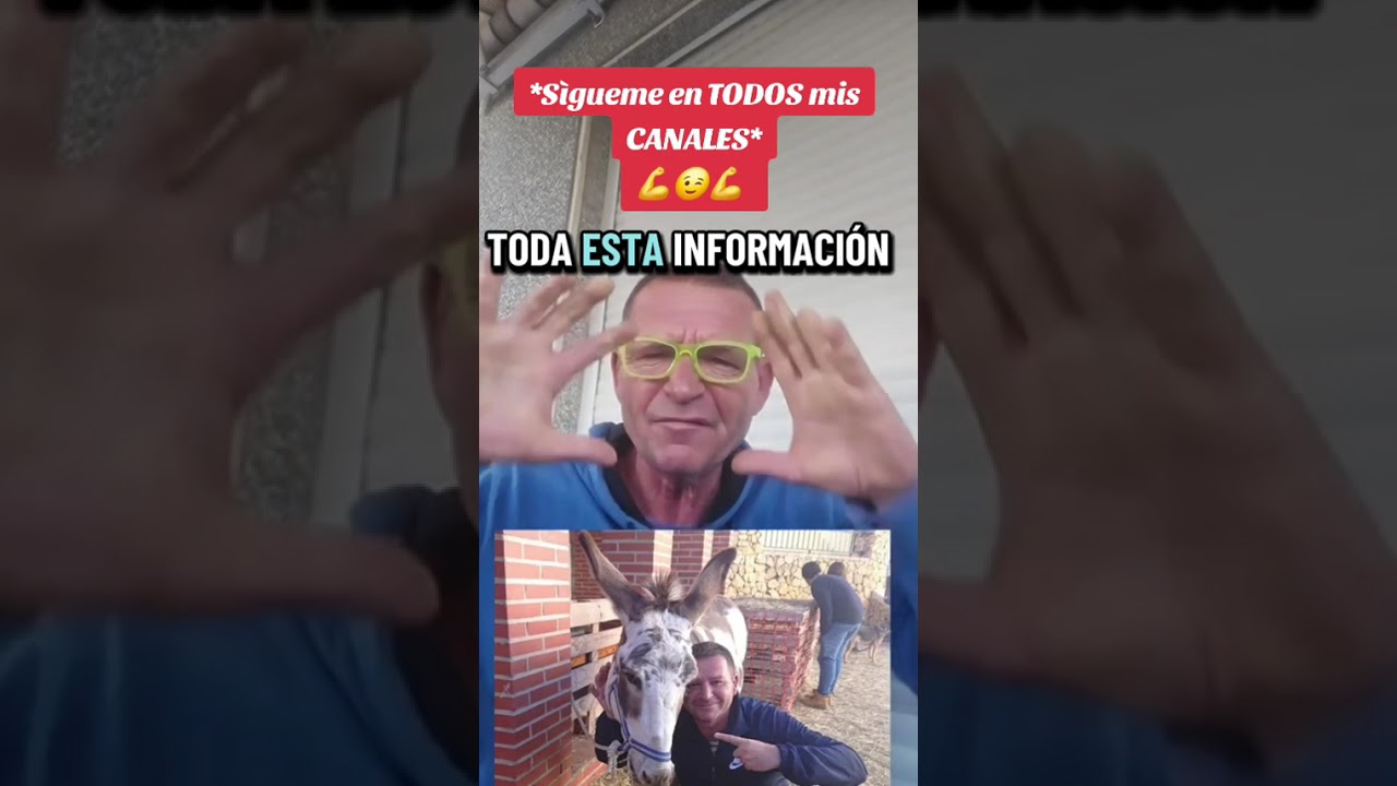 Redes SOCIALES Sìgueme 💪😃💪