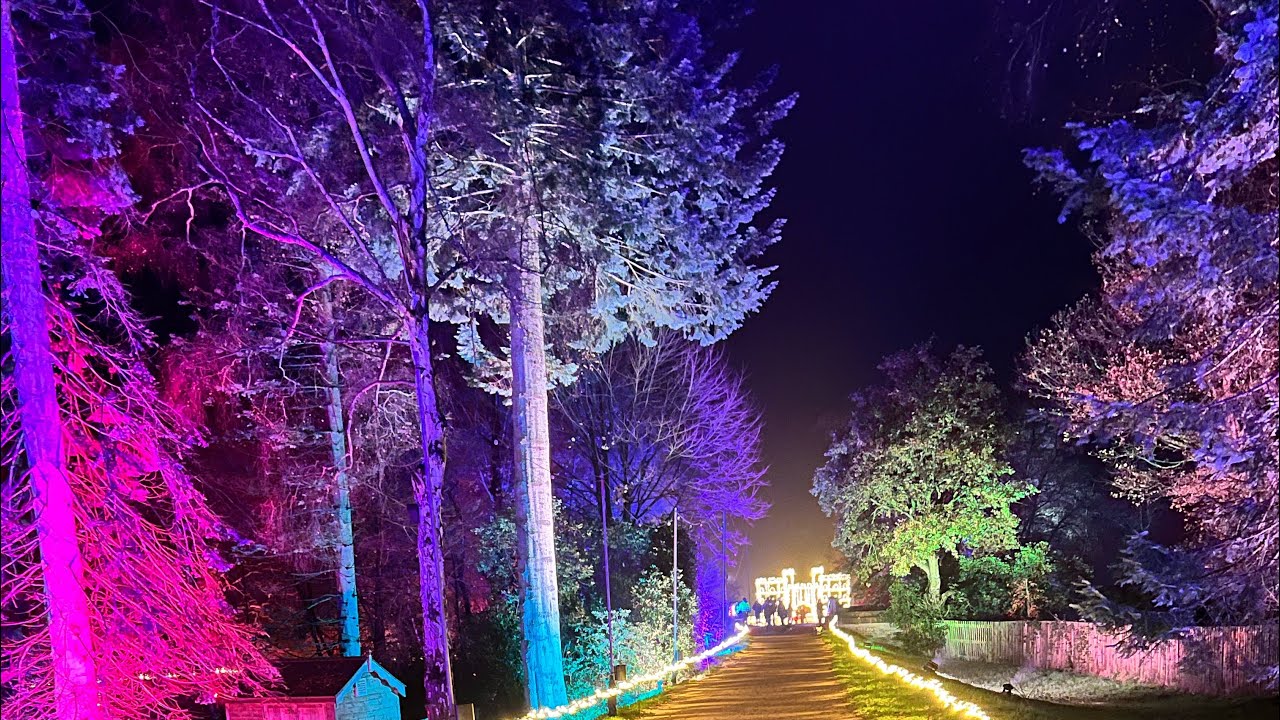 Windsor Great Park Illuminated Lights