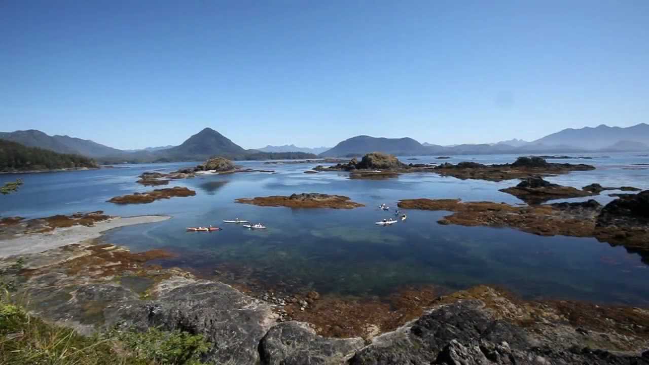 Experience Sea Kayaking BC with West Coast Expeditions