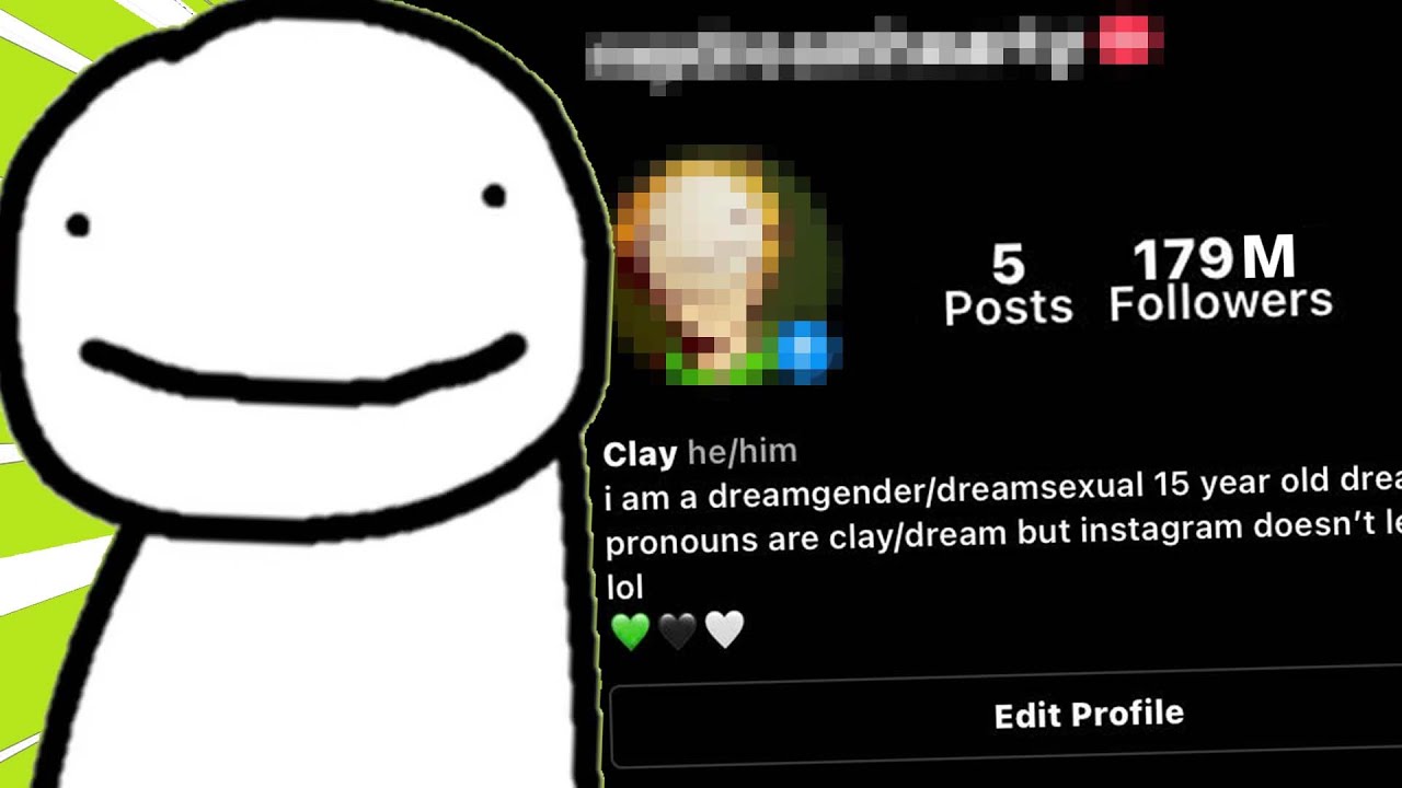 I Made An UNDERCOVER Dream Stan Instagram Account And This Happened...