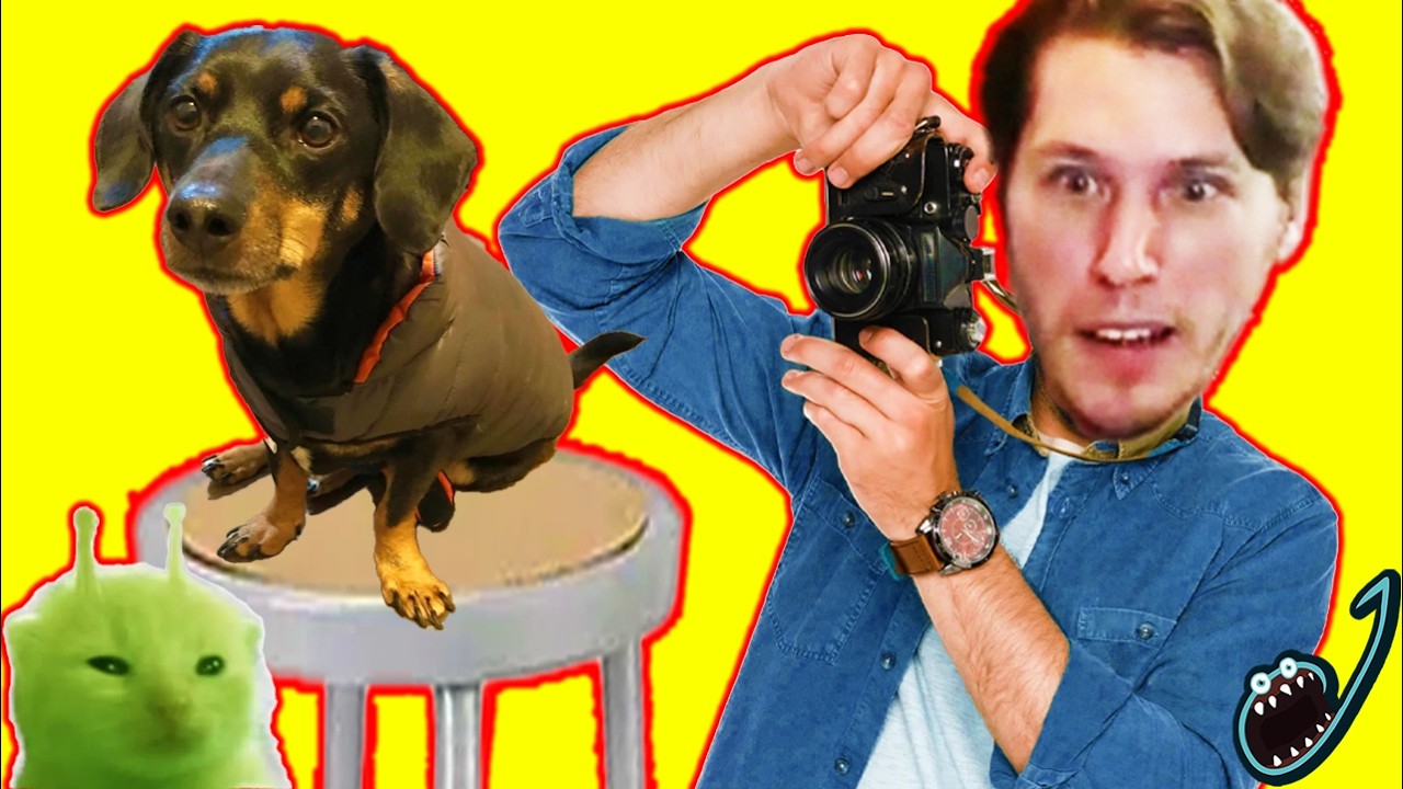 Jerma Teaches Photography 101 in Pupperazzi - Long Edit With Chat