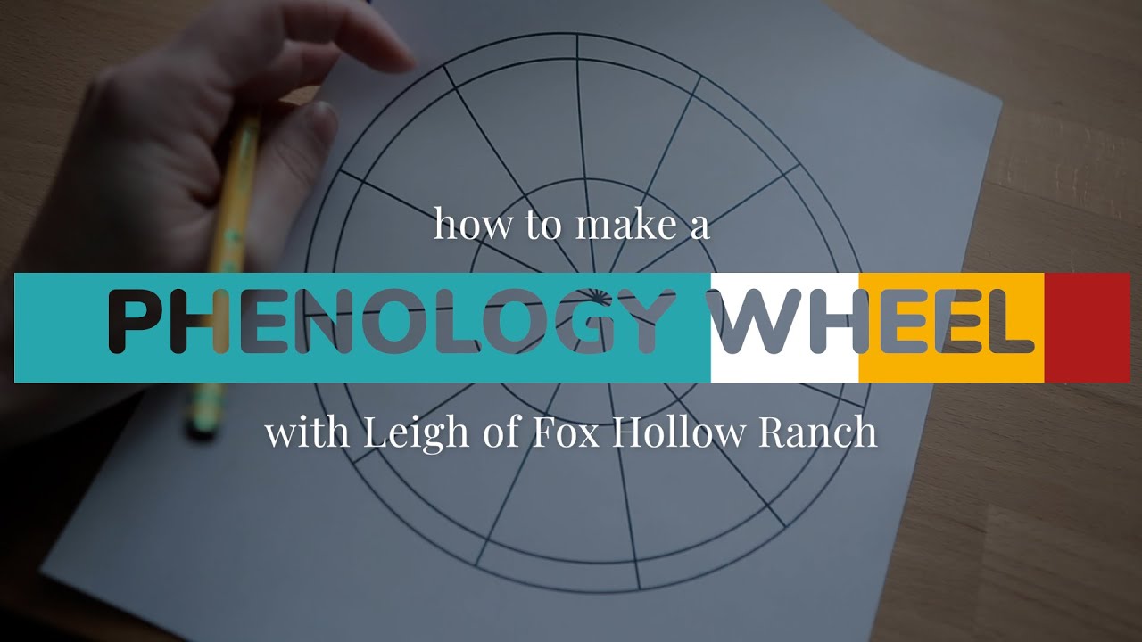 How to Make a Phenology Wheel