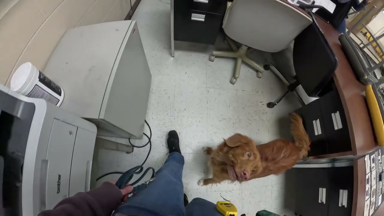 2 7 26 Murfreesboro TN GoPro Platoon