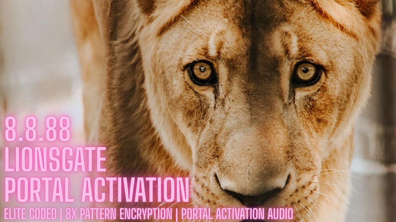 Walk Through the Portal With Me | Lionsgate 8.8.88 Activation