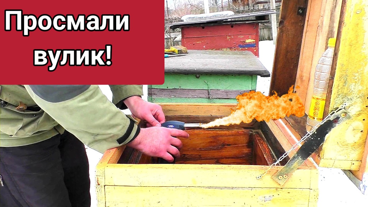Вулик треба добре прожарити! Дезінфекція вуликів .